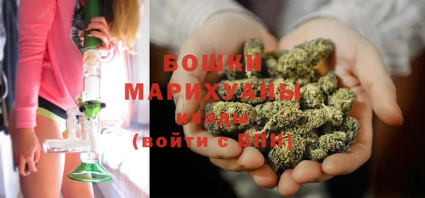 тгк Богородицк