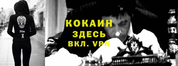 тгк Богородицк