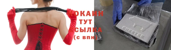 спиды Бородино