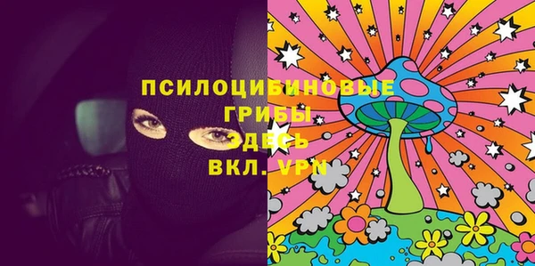 спиды Бородино