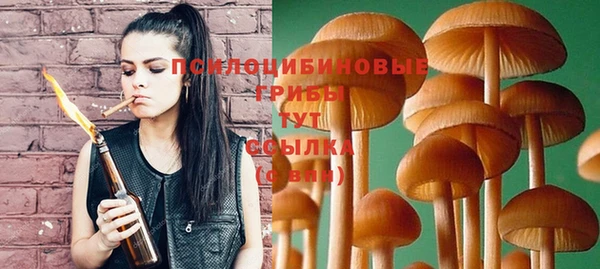 а пвп мука Богданович