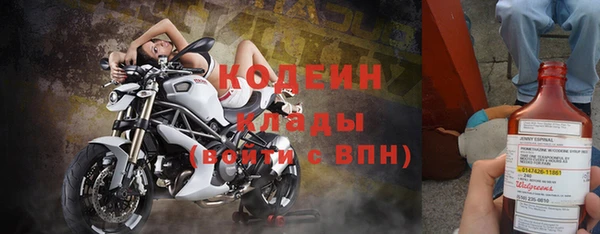 спиды Бородино