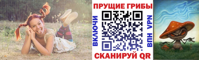 kraken онион  Мценск  Галлюциногенные грибы Cubensis 